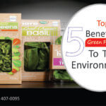 Top 5 Benefits of Green Packaging To The Environment