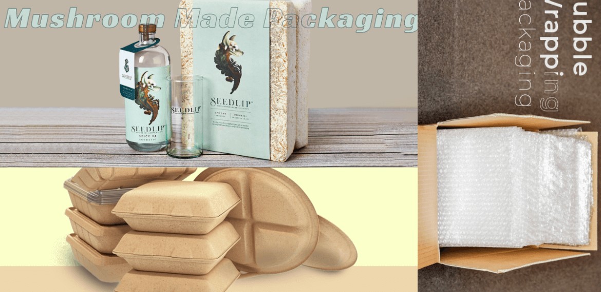 What Can You Use Instead of Cardboard? Claws Custom Boxes