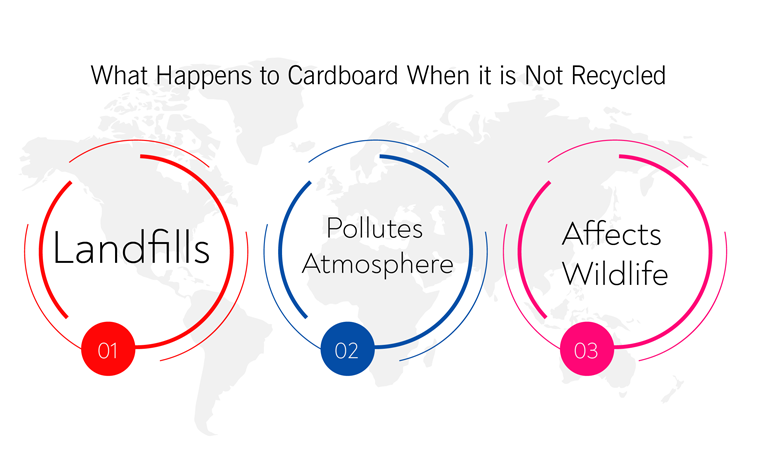 What Happens to Cardboard When it is Not Recycled