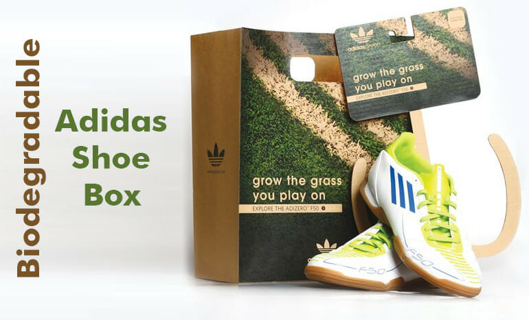 Biodegradable Adidas Shoe Box